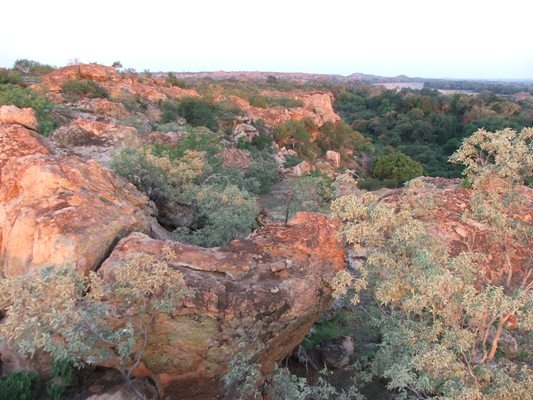 Limpopo_in_the_Distance_RES_533_400_cy_100