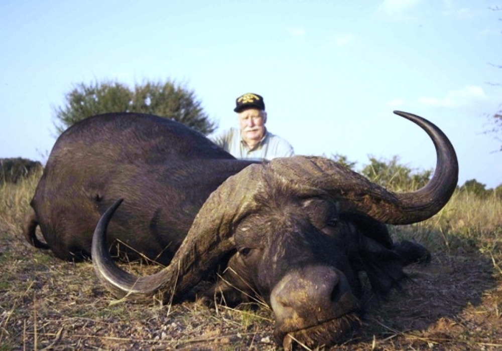 Cape_Buffalo_Dugga_Boy_3_RES_600_400_cy_100