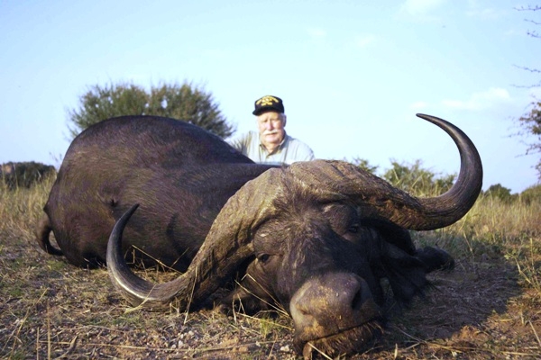 Cape_Buffalo_Dugga_Boy_3_RES_600_400_cy_100