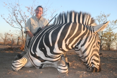 Zebra_trophy_448_299_cy_100